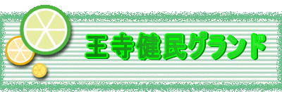 �@�@�@�@���������O�����h